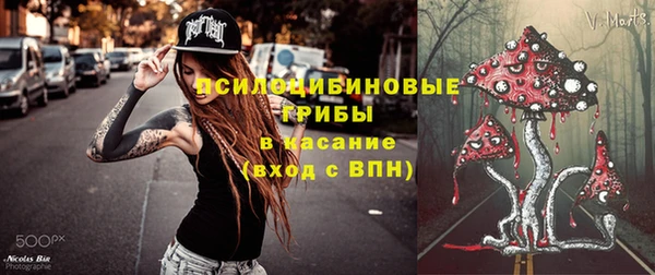 мяу мяу мука Белокуриха