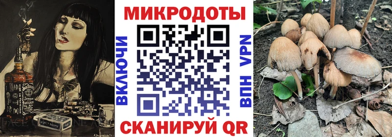 Псилоцибиновые грибы Psilocybe  Невельск 